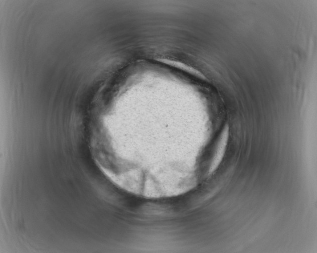 X0000113610699200910161929