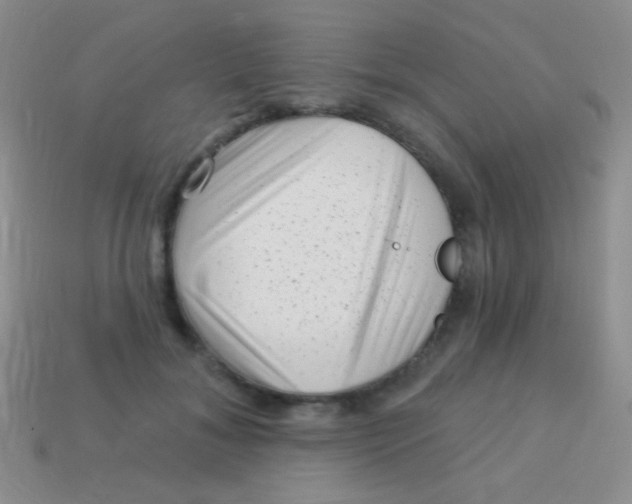 X0000113610700200910161929