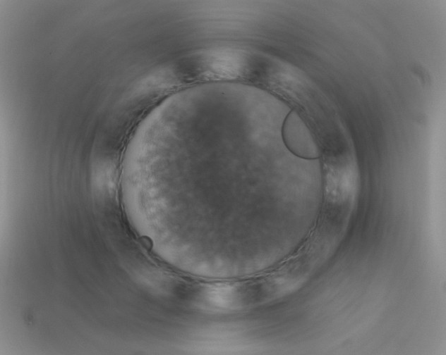 X0000113610701200910161929