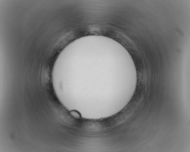 X0000113610702200910161929