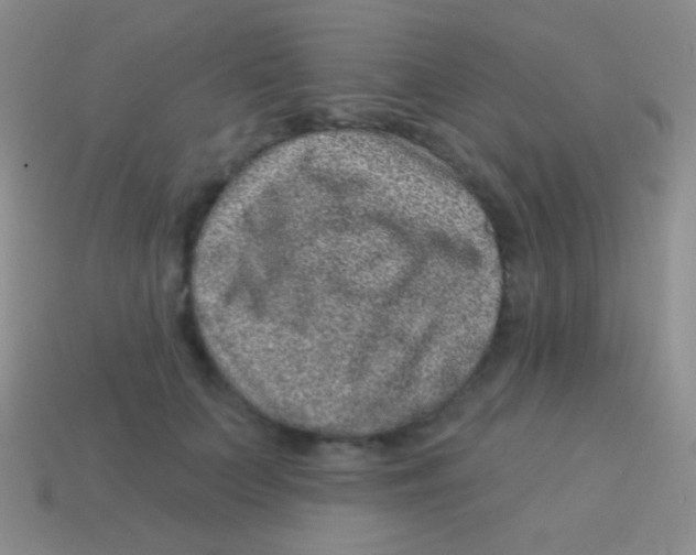 X0000113610703200910161929