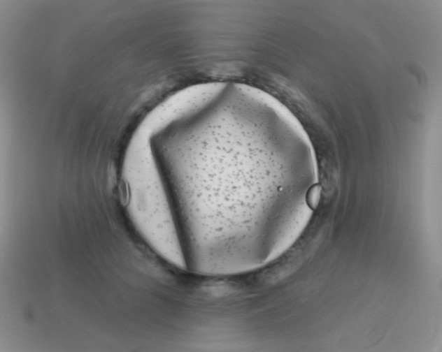 X0000113610704200910161929