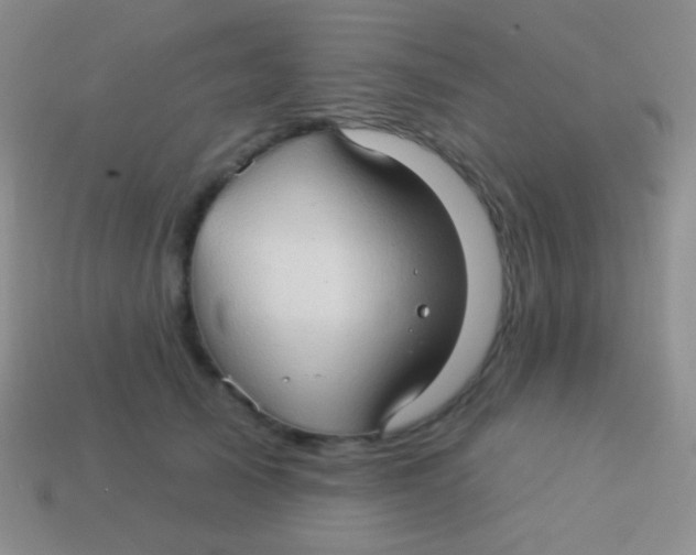 X0000113610705200910161929