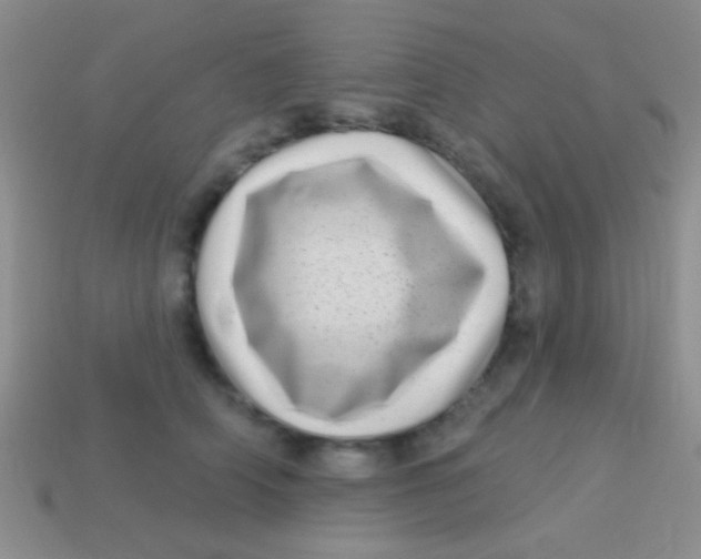 X0000113610706200910161929