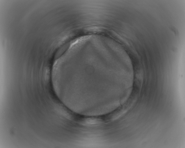 X0000113610708200910161929