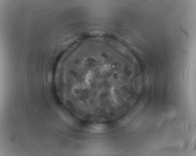 X0000113610711200910161929