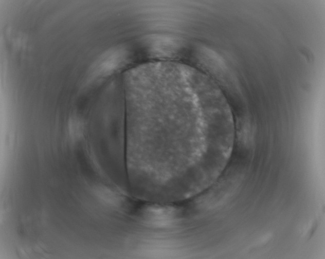 X0000113610712200910161929