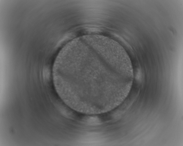 X0000113610715200910161929