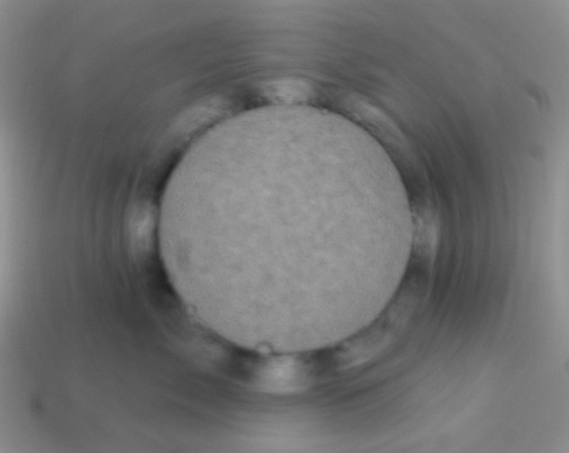 X0000113610717200910161929