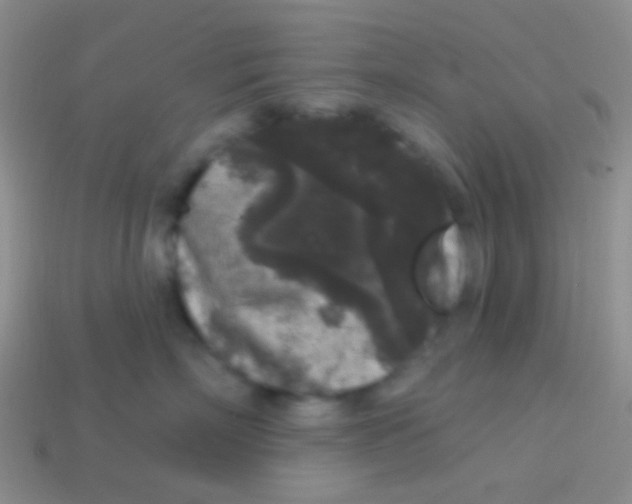 X0000113610718200910161929