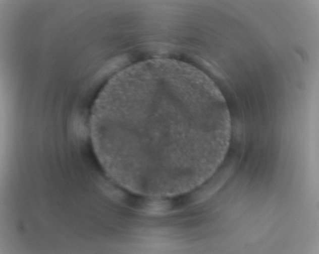 X0000113610719200910161929