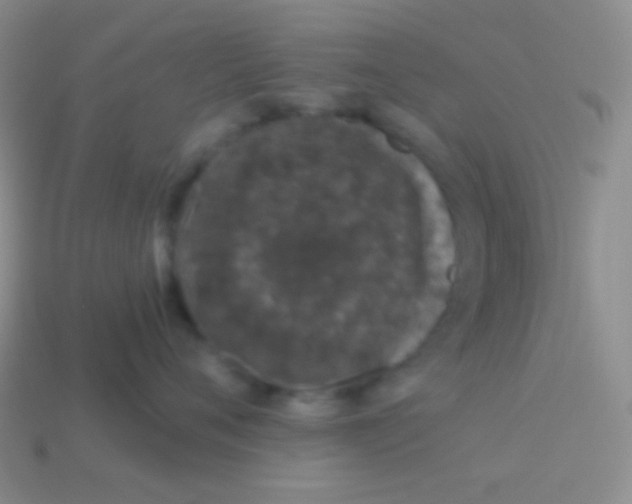 X0000113610720200910161929