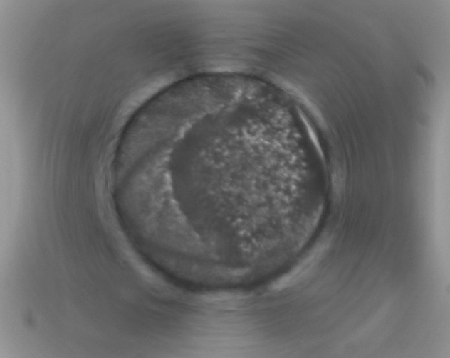 X0000113610721200910161928