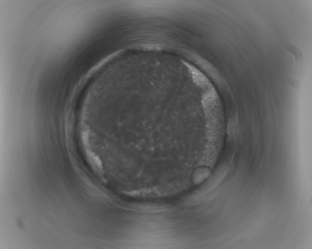 X0000113610722200910161928