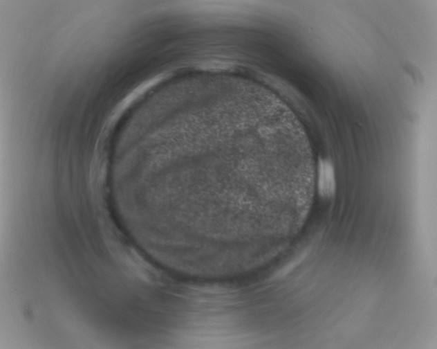 X0000113610723200910161929