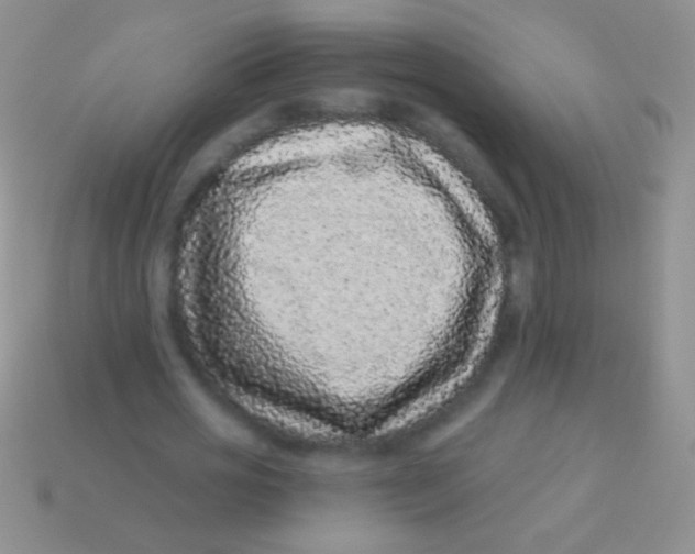 X0000113610725200910161929