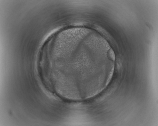 X0000113610728200910161929