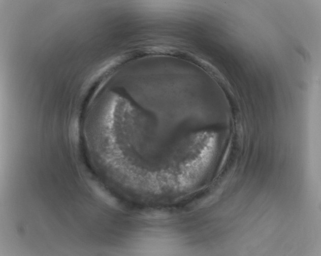 X0000113610729200910161929