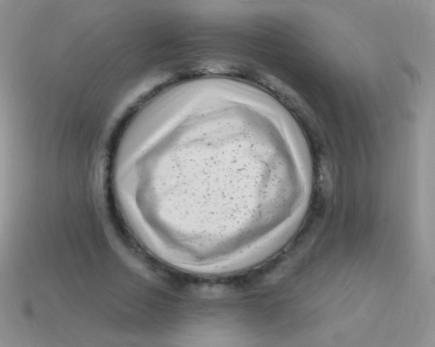 X0000113610730200910161929