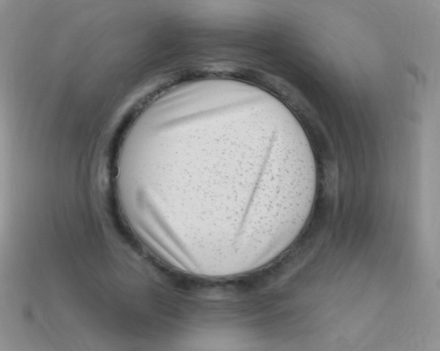 X0000113610731200910161929