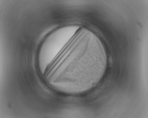 X0000113610732200910161929