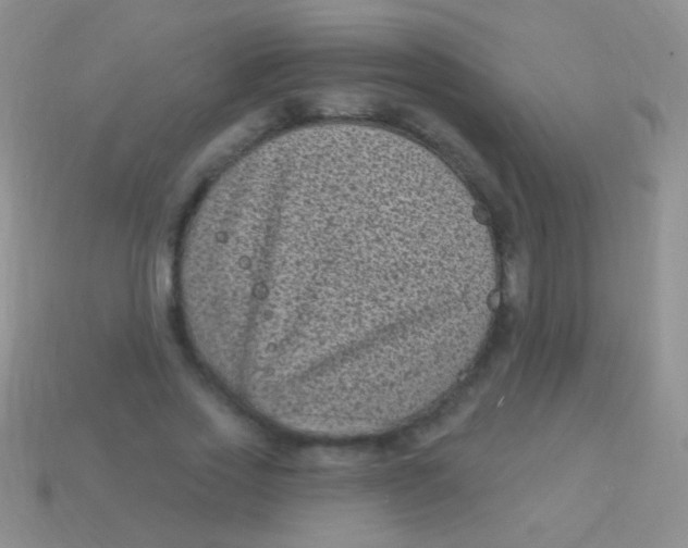 X0000113610733200910161929