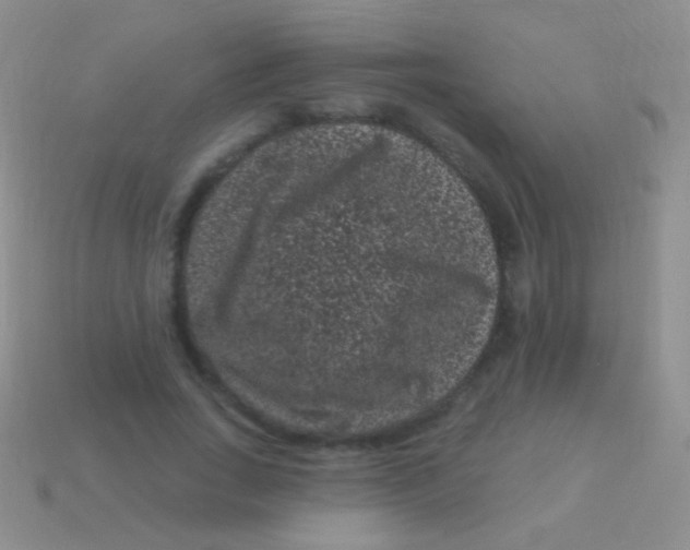 X0000113610735200910161929