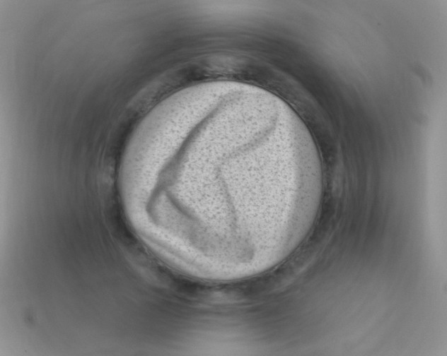 X0000113610737200910161929