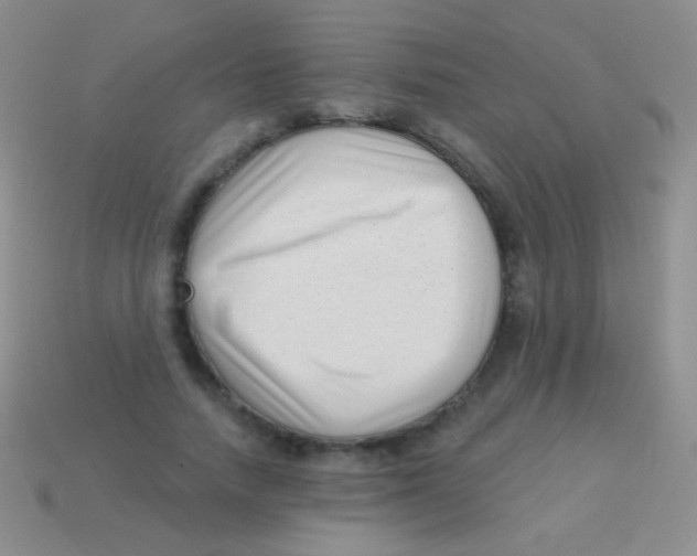 X0000113610738200910161929