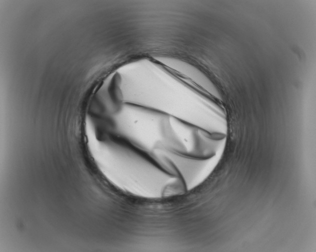 X0000113610740200910161929