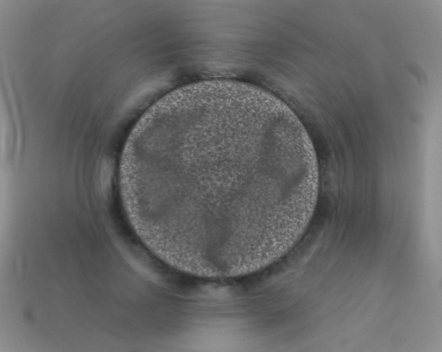 X0000113610742200910161929