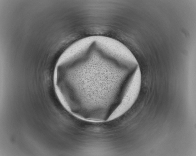 X0000113610743200910161929