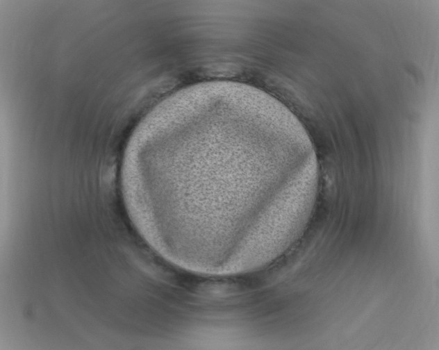 X0000113610745200910161929