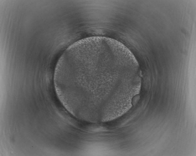 X0000113610747200910161929