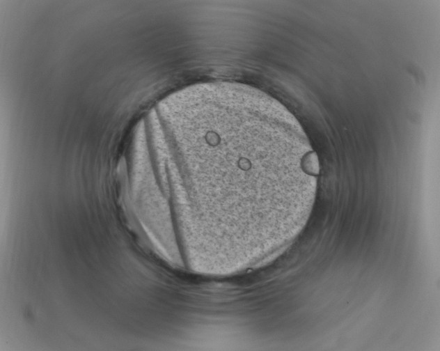 X0000113610748200910161929