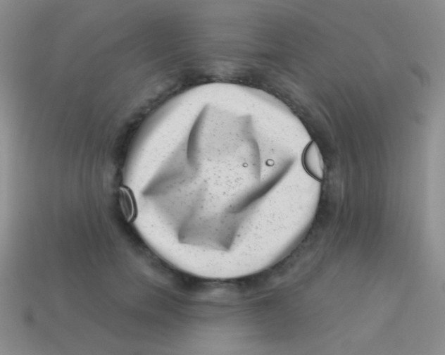 X0000113610750200910161929