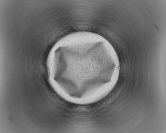 X0000113610751200910161929