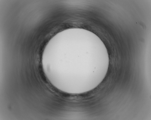 X0000113610752200910161929