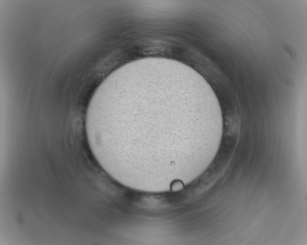 X0000113610753200910161929