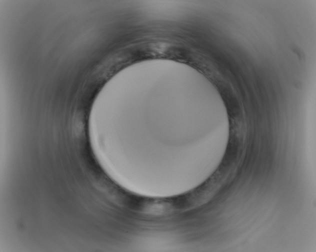 X0000113610754200910161929