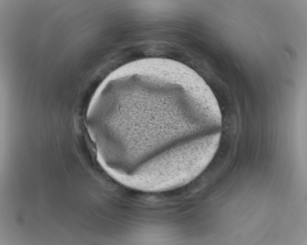 X0000113610755200910161929