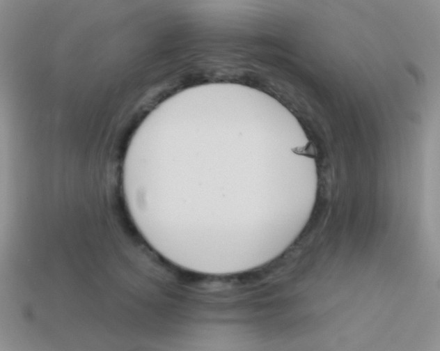 X0000113610756200910161929