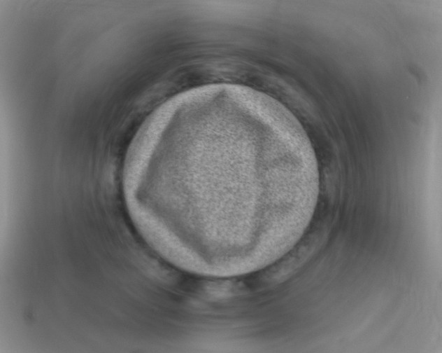 X0000113610757200910161929