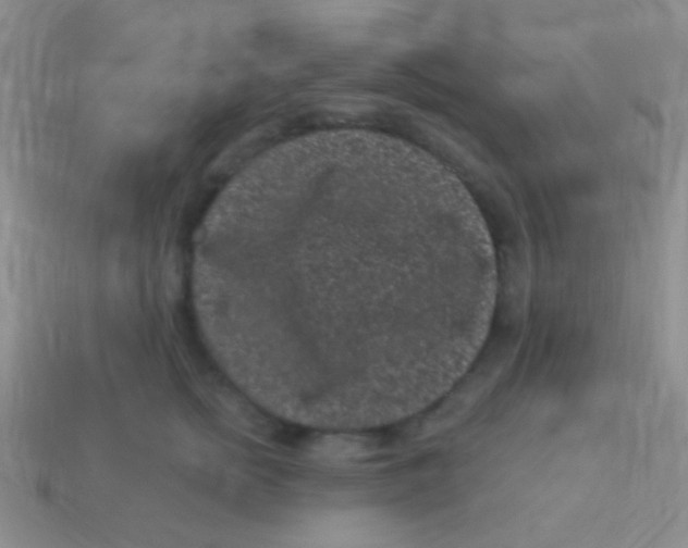 X0000113610758200910161929