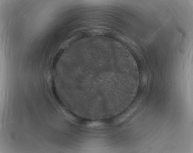 X0000113610759200910161929