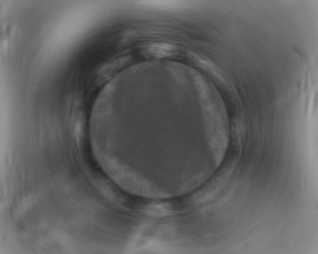 X0000113610760200910161929