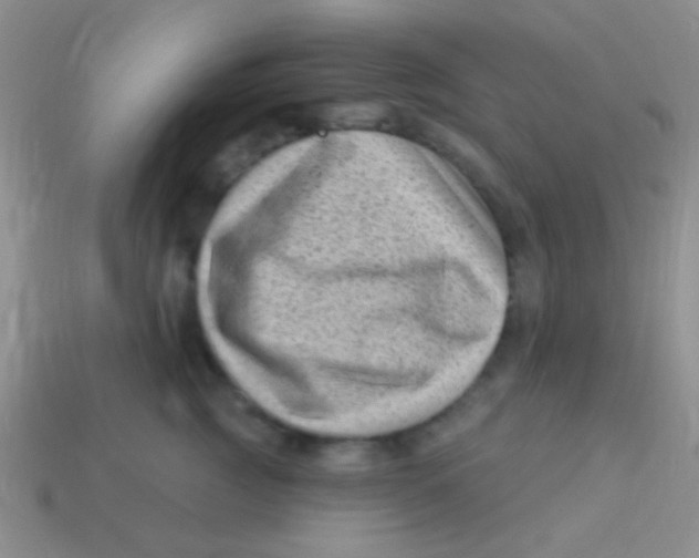 X0000113610761200910161929