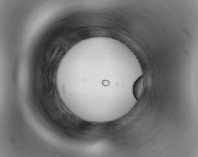 X0000113610764200910161929