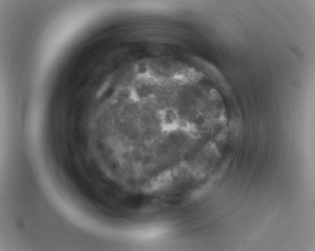 X0000113610765200910161929