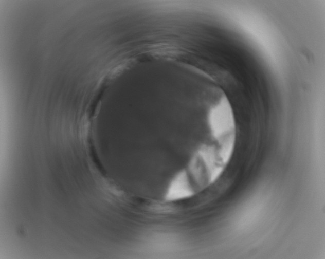 X0000113610767200910161929